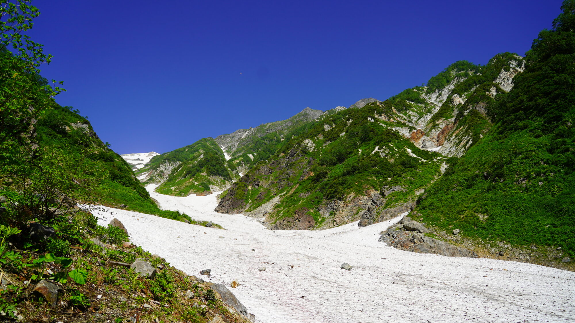 image1 