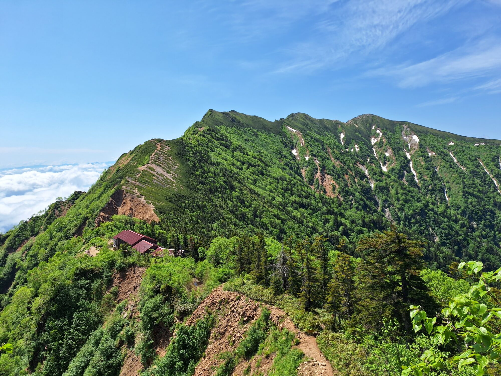 image1 