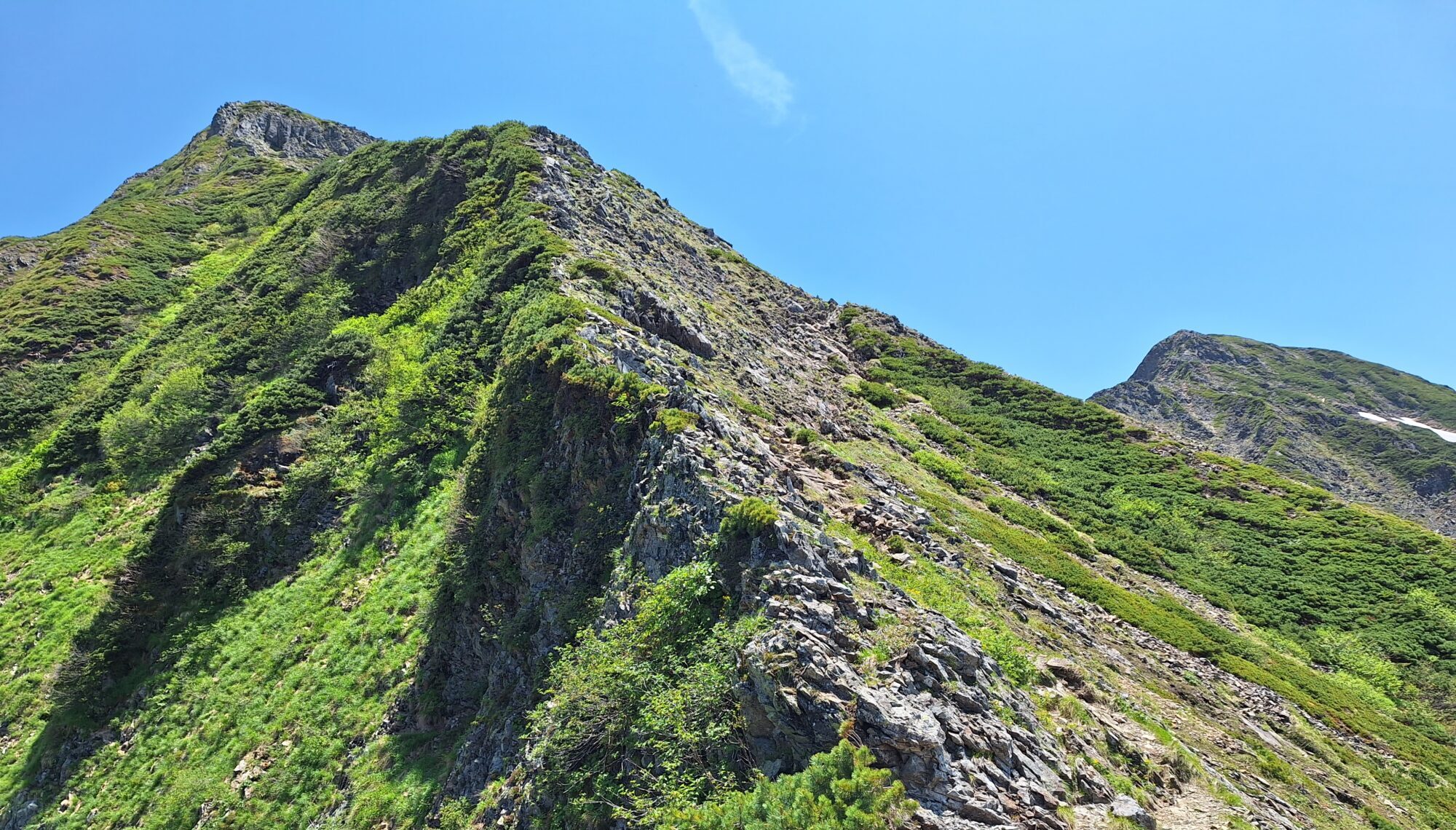 image1 