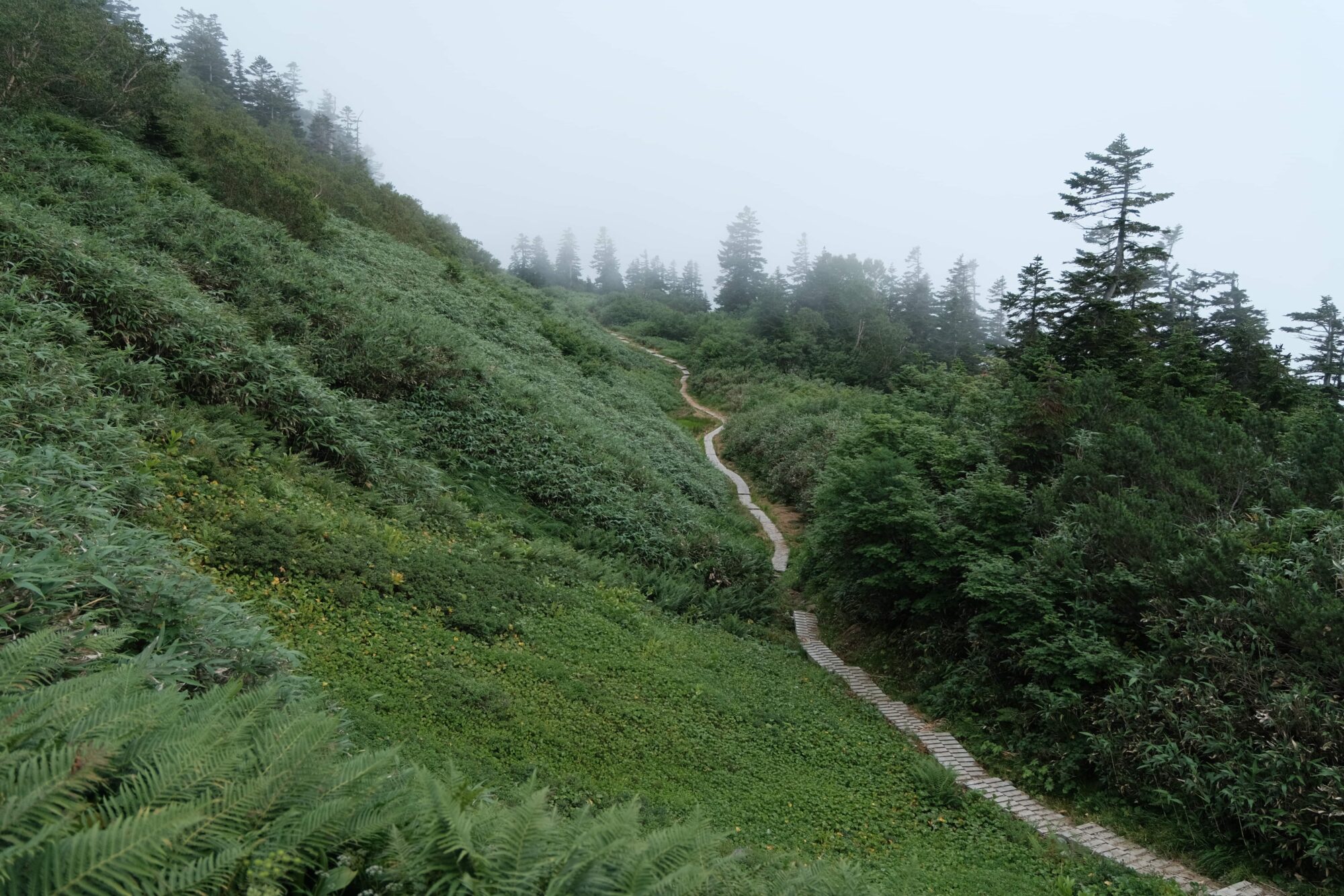 image2 