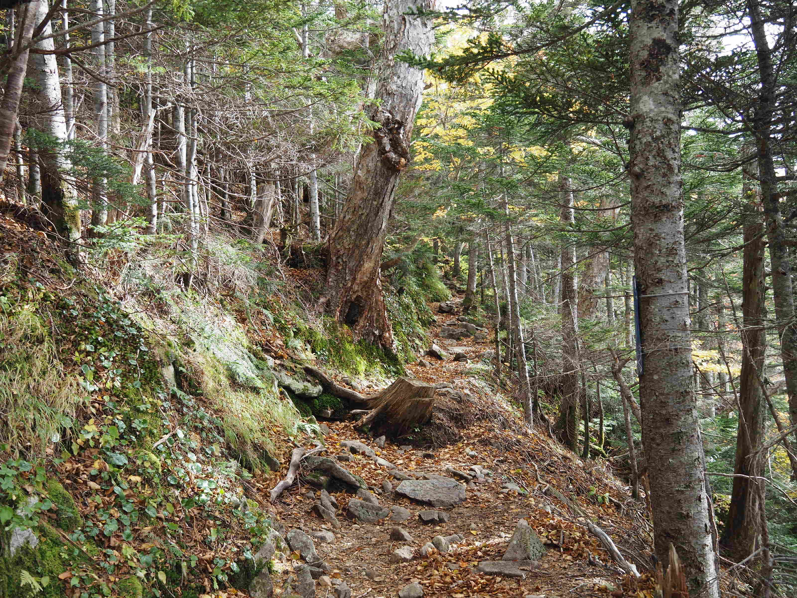 image2 