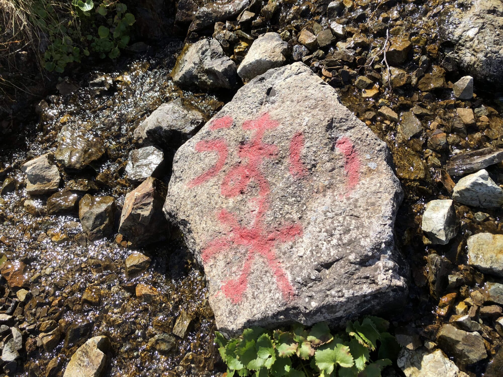 image2 