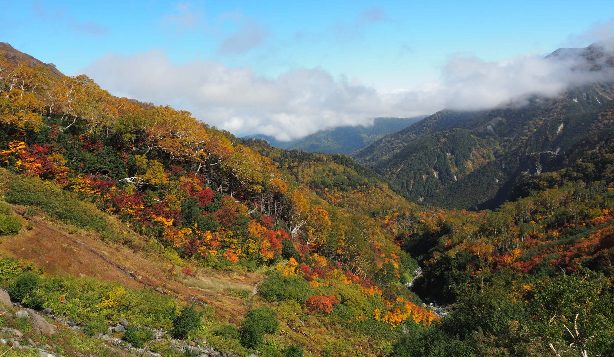 鉱山道(蓮華温泉〜白馬岳)ルート