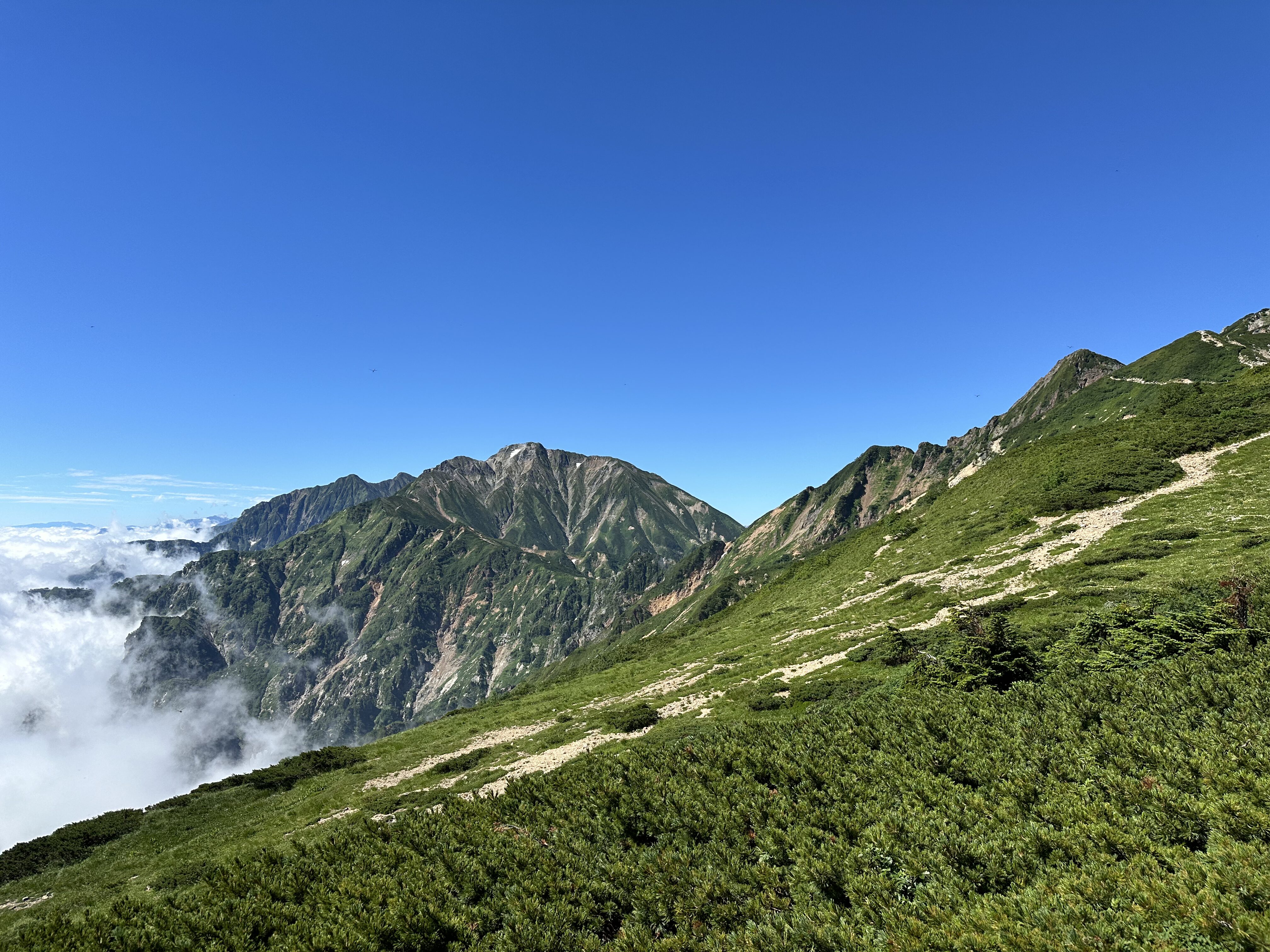 image3 