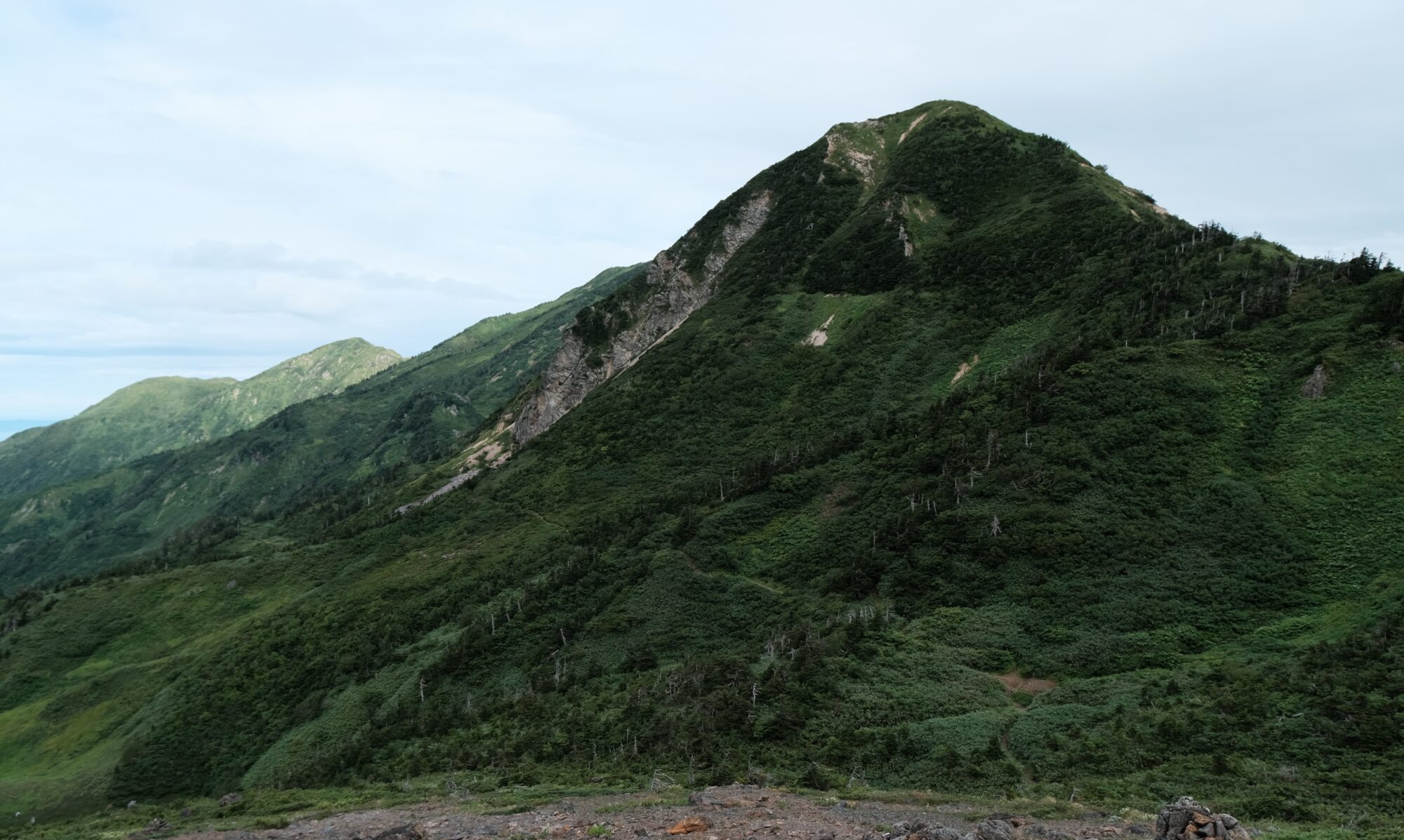 image1 