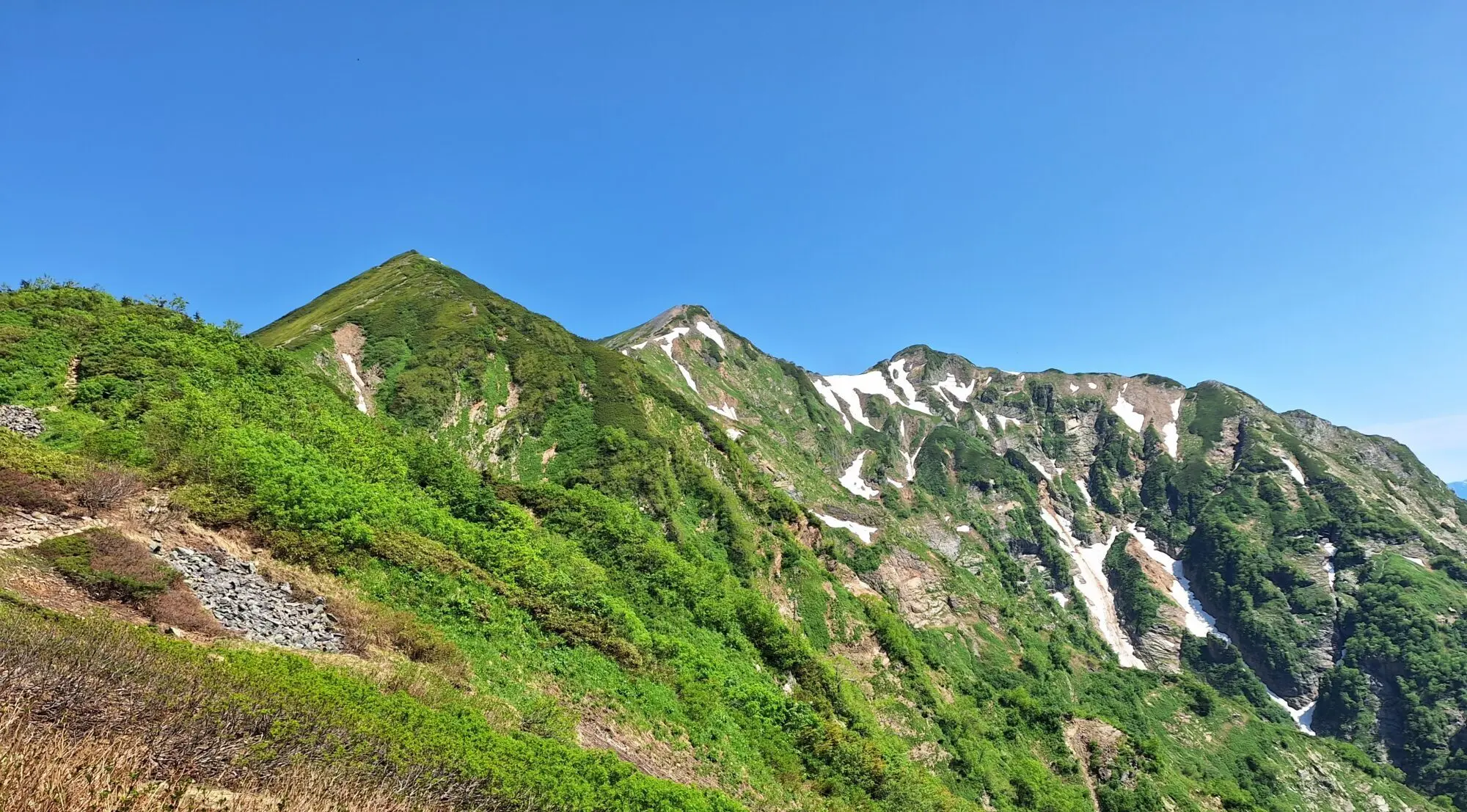 OLD MOUNTAIN × BOTANIZE KAKERUYATU OLD MOUNTAIN BOTANIZE カケモノKAKEMONO ボタナイズ 新品 OLD