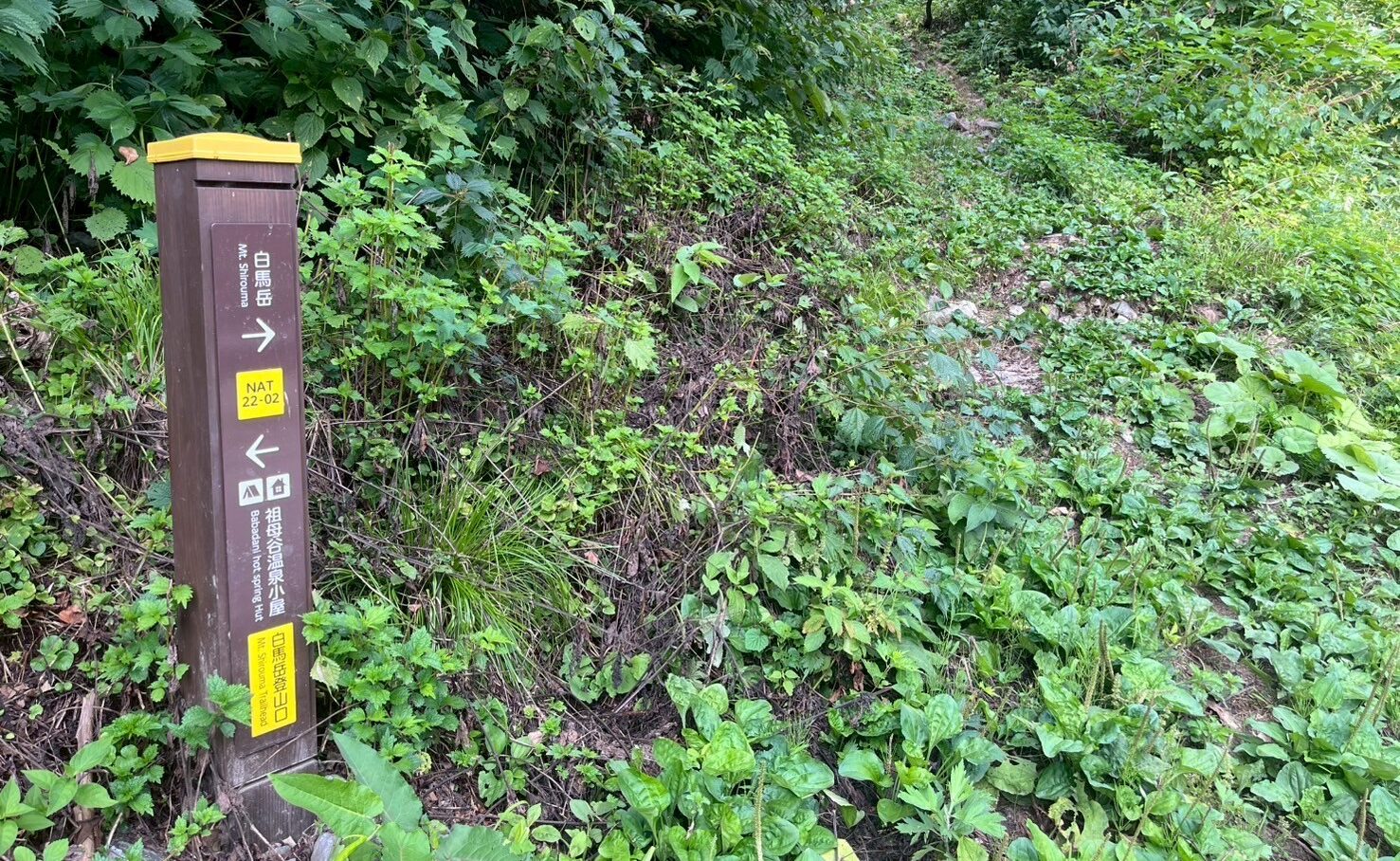image1 