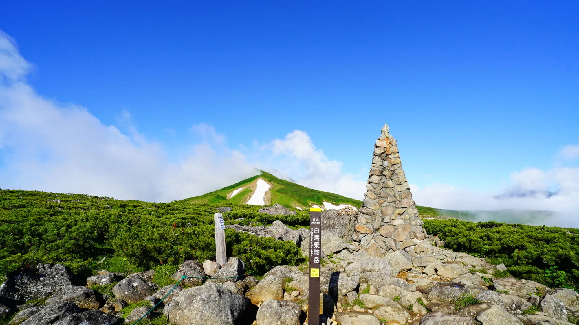 ゆ*⭐様 OLD MOUNTAIN×botanize×Koti KAKERUYA BOTANIZE OLD MOUNTAIN